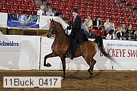 11buck_0417 proof