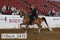 11buck_0419 proof
