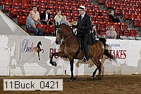 11buck_0421 proof