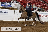 11buck_0426 proof