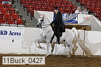 11buck_0427 proof