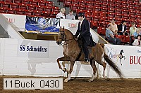 11buck_0430 proof