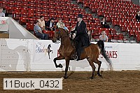 11buck_0432 proof