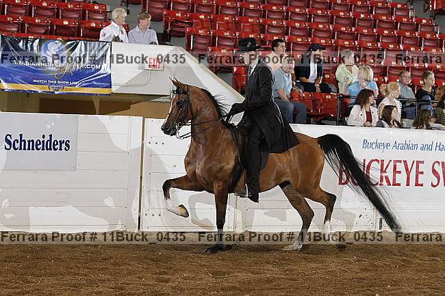Proof 11buck_0435