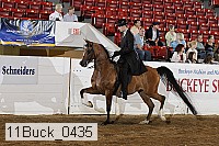11buck_0435 proof