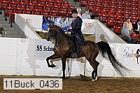 11buck_0436 proof