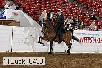 11buck_0438 proof