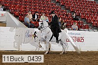 11buck_0439 proof
