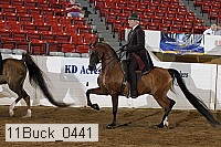 11buck_0441 proof