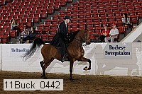 11buck_0442 proof