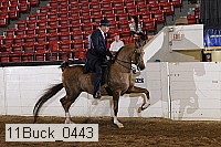 11buck_0443 proof