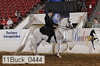 11buck_0444 proof