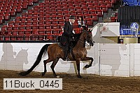 11buck_0445 proof