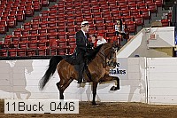 11buck_0446 proof
