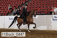 11buck_0447 proof