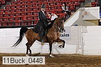 11buck_0448 proof
