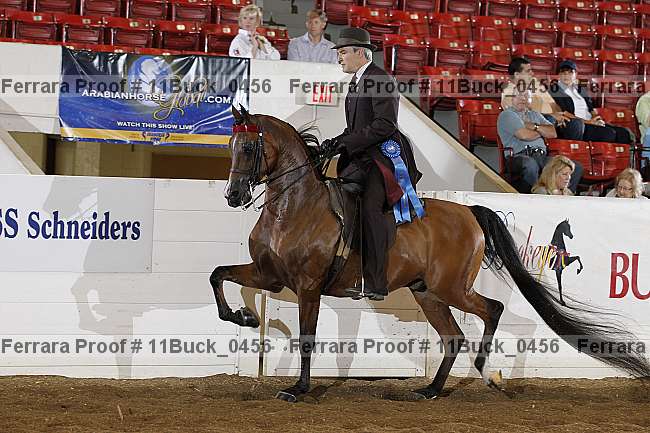 Proof 11buck_0456