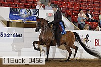 11buck_0456 proof
