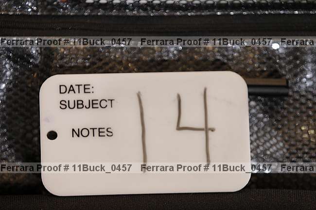 Proof 11buck_0457