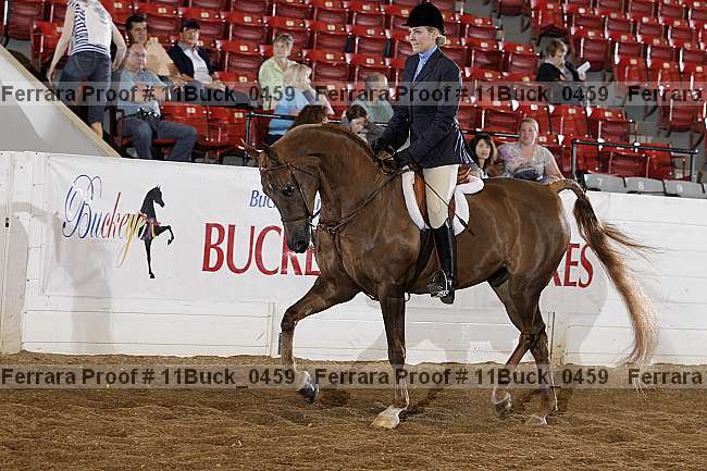 Proof 11buck_0459