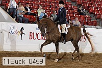 11buck_0459 proof