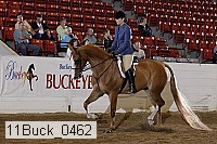 11buck_0462 proof