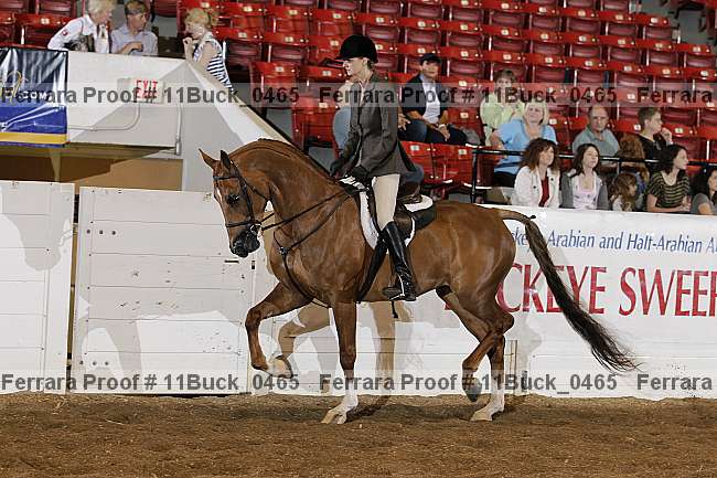 Proof 11buck_0465