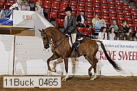 11buck_0465 proof