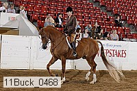 11buck_0468 proof