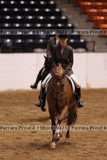 Proof 11buck_0471