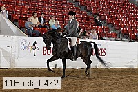 11buck_0472 proof