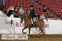 11buck_0478 proof