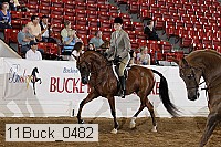 11buck_0482 proof