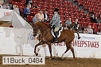 11buck_0484 proof
