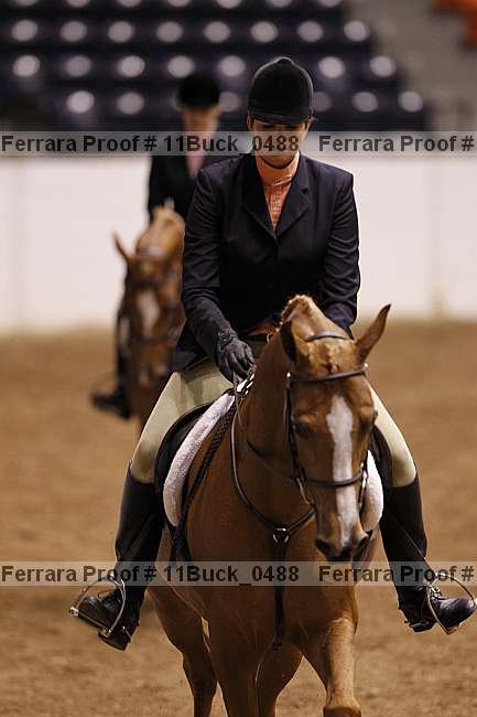 Proof 11buck_0488
