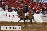 11buck_0493 proof