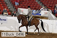 11buck_0496 proof