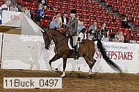 11buck_0497 proof