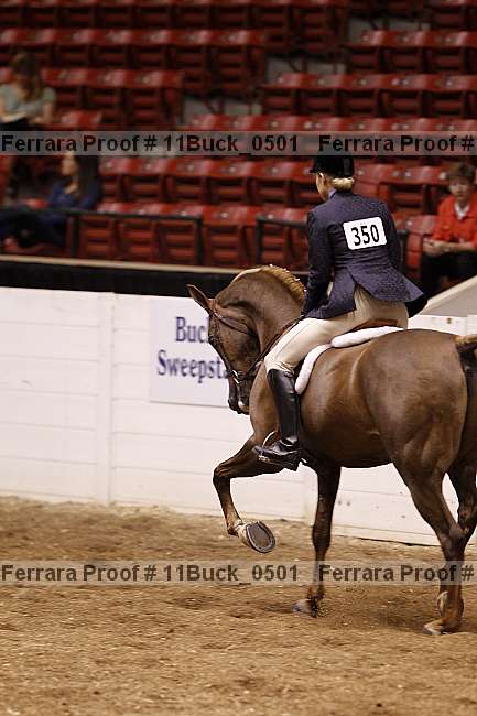 Proof 11buck_0501