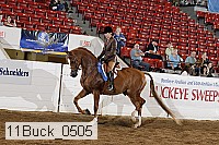 11buck_0505 proof