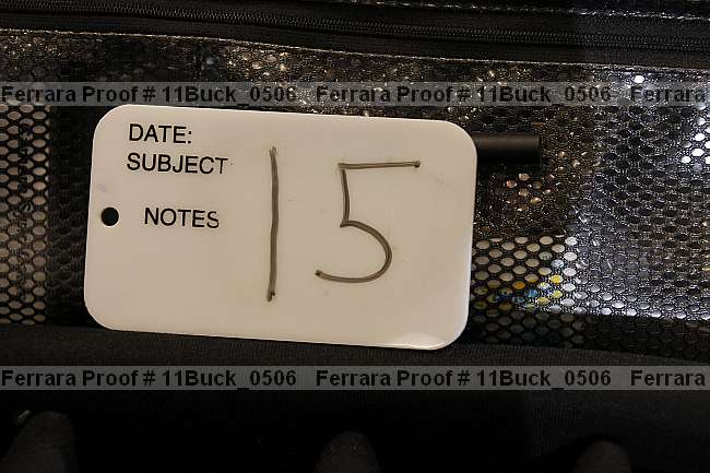 Proof 11buck_0506