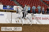 11buck_0511 proof