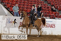 11buck_0516 proof