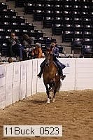 11buck_0523 proof