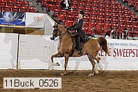 11buck_0526 proof