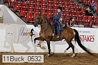 11buck_0532 proof