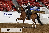 11buck_0533 proof