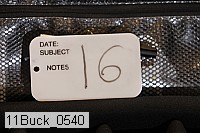 11buck_0540 proof
