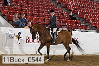 11buck_0544 proof