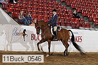 11buck_0546 proof